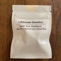 Vente: Lifehouse Genetics - Super Sour Headband