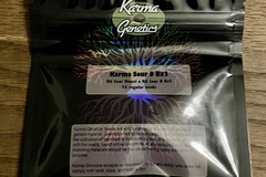 Vente: Karma Genetics - Karma Sour Diesel BX2
