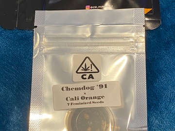 Sell: CSI HUMBOLDT - CHEMDOG 91 x CALI-O