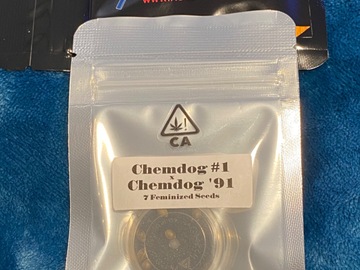 Sell: CSI HUMBOLDT - CHEMDOG #1 x CHEMDOG 91