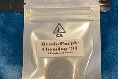 Sell: CSI HUMBOLDT - MENDO PURPS x CHEMDOG 91