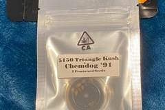 Sell: CSI HUMBOLDT - 5150 TRIANGLE KUSH x CHEMDOG 91