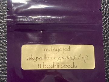 Red Eye Jedi (Skywalker OG x 88G13HP) - Bodhi Seeds
