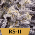 Sell: Rainbow Sherbert #11/ RS11/ 3 for $225 Mix and Match Sale
