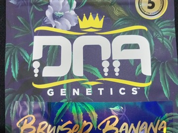 Bruised Banana by DNA