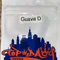 Venta: Top Dawg - Guava D - RARE & Long Sold Out