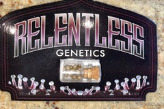 Vente: Relentless Genetics - Rotten Cherries - Sold Out!