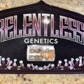 Venta: Relentless Genetics - Rotten Cherries - Sold Out!