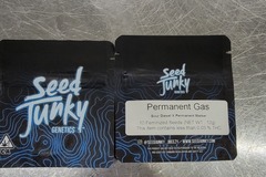 Venta: Permanent Gas Seed Junky
