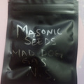 Sell: Mad Dog Gas  (Albert walker NS) Masonic Seeds