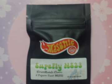 Vente: SupaFly Natural Selections '23 - Masonic Seeds