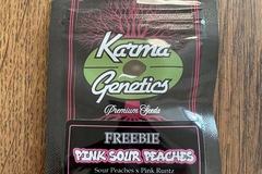 Vente: Karma Genetics - Pink Sour Peaches