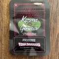 Vente: Karma Genetics - Pink Bananas