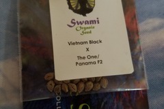 Vente: Vietnam black x the one/Panama f2