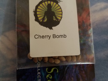 Vente: Cherry bomb