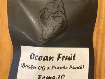 Sell: Ocean fruit
