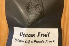 Vente: Ocean fruit