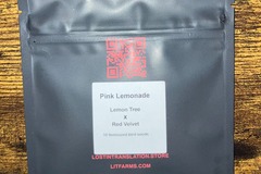 Auction: (Auction) Pink Lemonade from LIT Farms