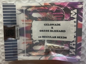 Auction: (auction) Gelonade x Oreoz Blizzard from Tiki Madman