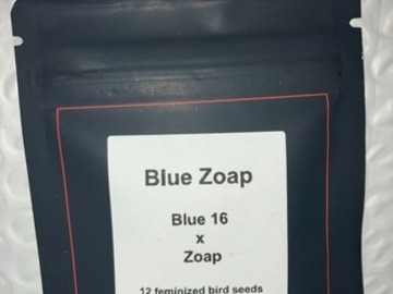 Subastas: (auction) Blue Zoap from LIT Farms