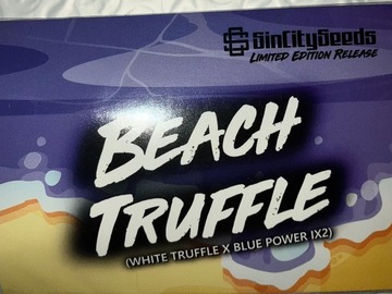 Subastas: (auction) Beach Truffle from Sin City