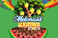 Enchères: Melonaid Zkittlez F2 (6 Fem Seeds) Auction + Freebie