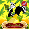 Enchères: Lemon Skunk (6 regular Seeds) Auction + Freebie