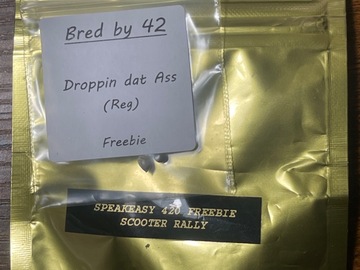 Vente: Bred 42 droppin /speakesy scooter rally