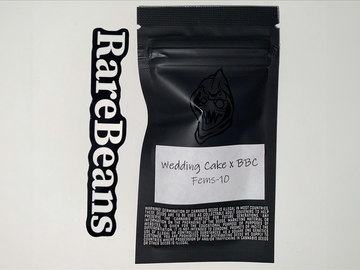 Vente: Wedding Cake x BBC - Square One Genetics