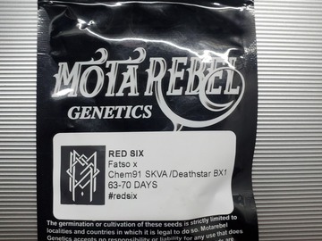 Vente: Red Six *Mota Rebel Genetics