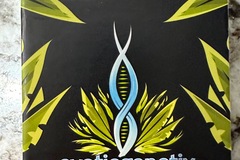 Venta: Dipz by Exotic Genetics
