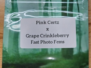 Venta: Pink Certz x Grape Crinkleberry - 10 Fast Photo Fem Seeds