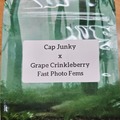 Venta: Cap Junky x Grape Crinkleberry - 10 Fast Photo Fems