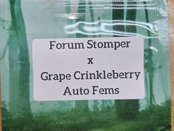 Vente: Forum Stomper x Grape Crinkleberry - 10 Auto Fems