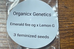Vente: Organicx emerald fire Og x lemon g