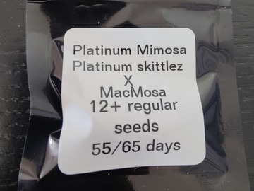 Venta: Desert Frost - Platinum Mimosa ~NM Breeder~