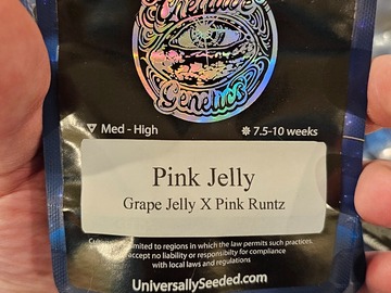Venta: Pink Jelly 6pk Fems by Universally Seeded