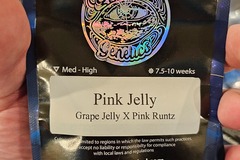 Vente: Pink Jelly 6pk Fems by Universally Seeded