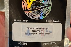 Vente: Cemented Banana Trufflez 6pk Fems by Universally Seeded