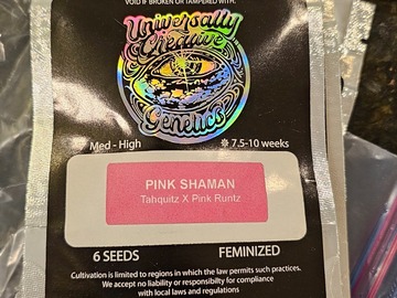 Vente: Pink Shaman 6pk Fems by Universally Seeded