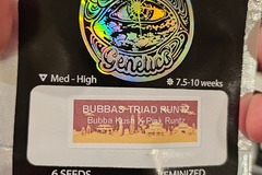 Vente: Bubbas Triad Runtz 6pk Fems by Universally Seeded