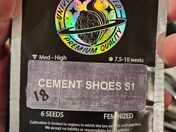 Vente: Cement Shoes S1 18 pk Fems by Universally Seeded