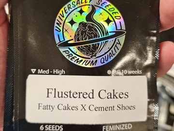 Venta: Flustered Cakes 6pk Fems by Universally Seeded