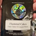 Vente: Flustered Cakes 6pk Fems by Universally Seeded