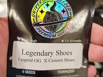 Vente: Legendary Shoes 6pk Fems by Universally Seeded