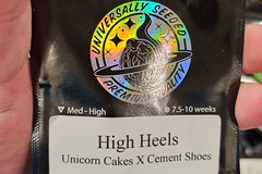 Venta: High Heels 6pk Fems by Universally Seeded