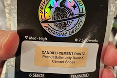 Venta: Candied Cement Runtz 6pk Fems by Universally Seeded