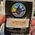 Vente: Candied Cement Runtz 6pk Fems by Universally Seeded