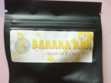 Enchères: *Auction* Banana Man - Masonic seeds