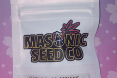 Enchères: *Auction* Tropnana (Natural Selections ) Masonic Seeds